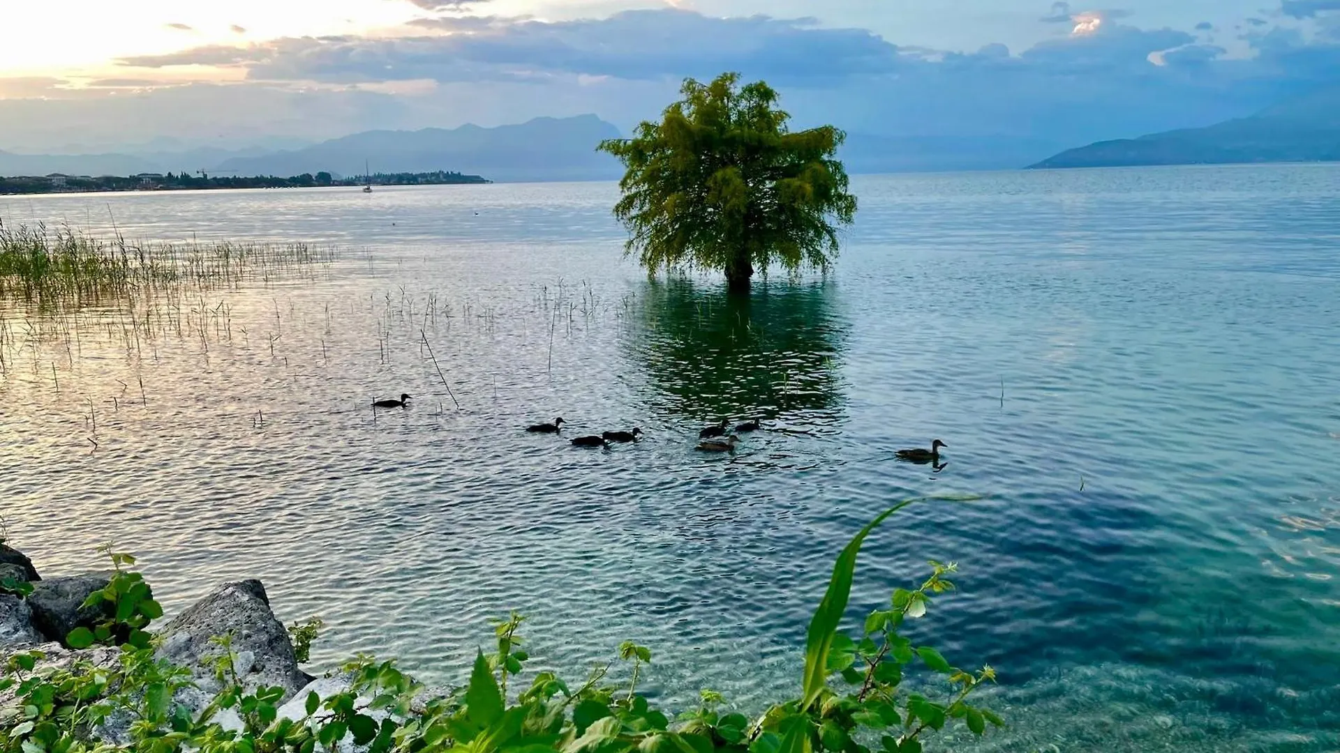 Hotel Alfieri Sirmione