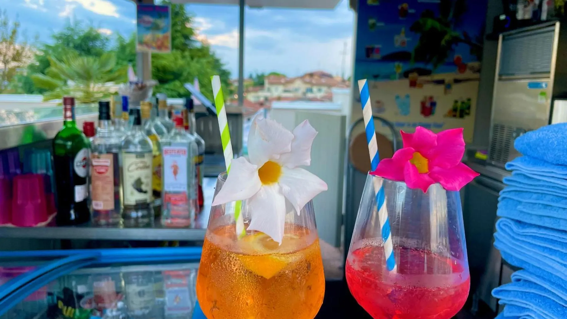 Hotel Alfieri Sirmione 3*,